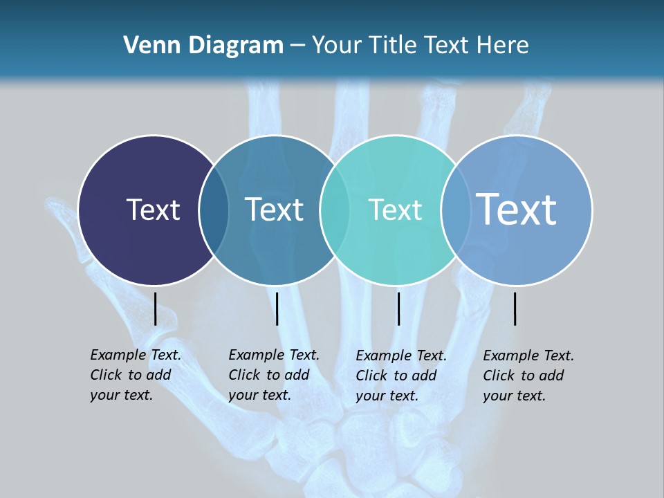 Film Science Skeletal PowerPoint Template