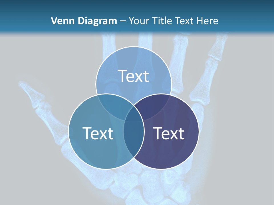 Film Science Skeletal PowerPoint Template