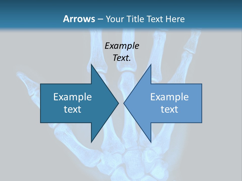 Film Science Skeletal PowerPoint Template