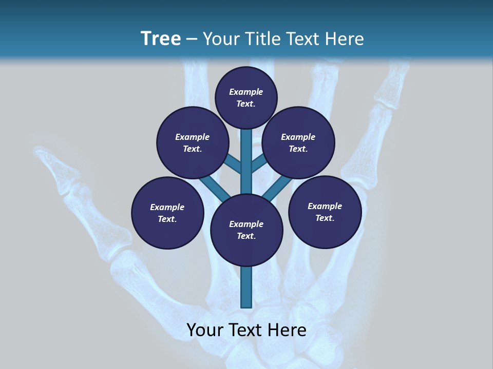 Film Science Skeletal PowerPoint Template