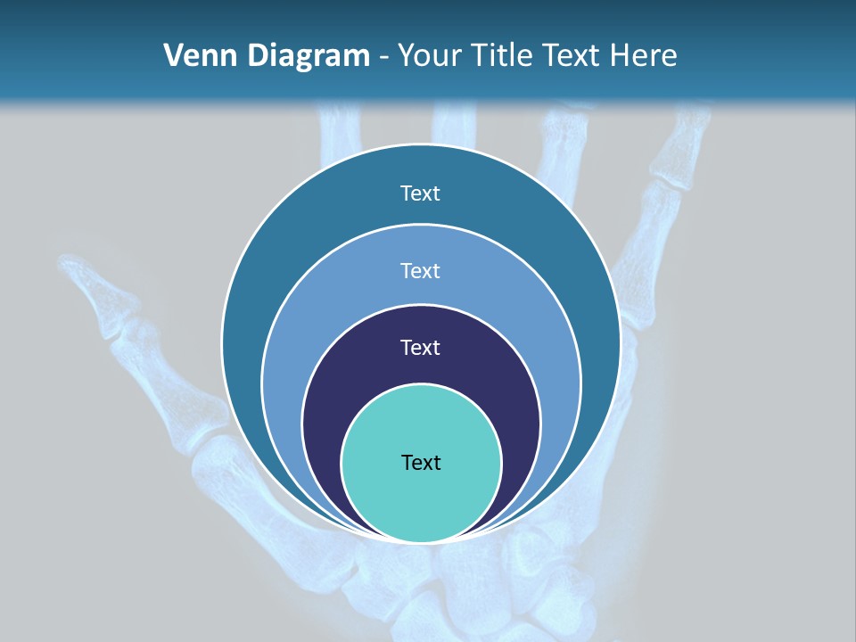 Film Science Skeletal PowerPoint Template