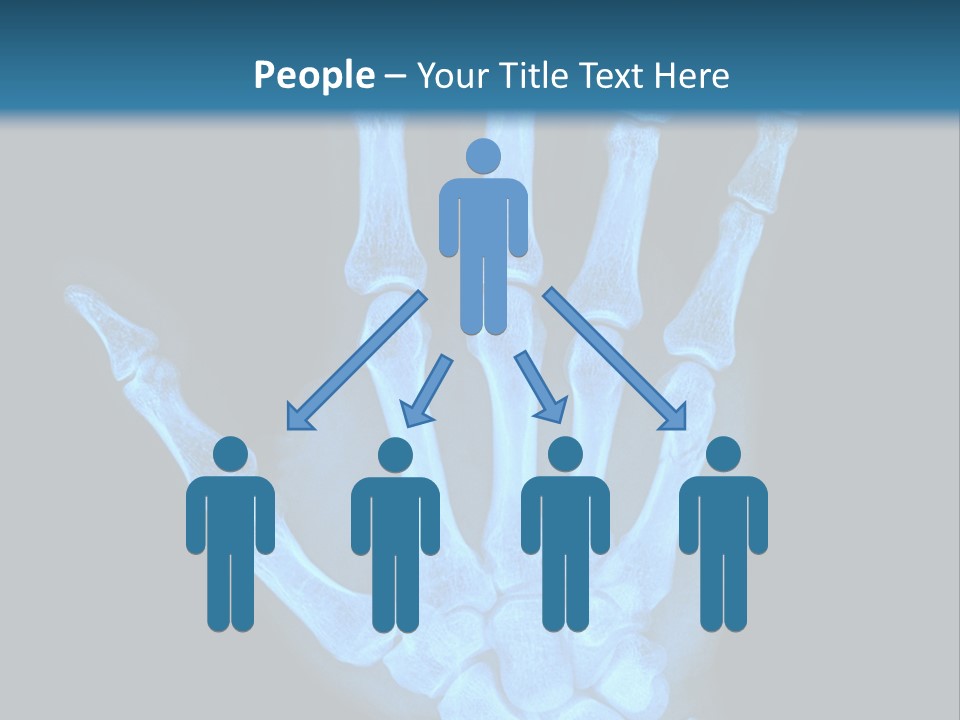 Film Science Skeletal PowerPoint Template