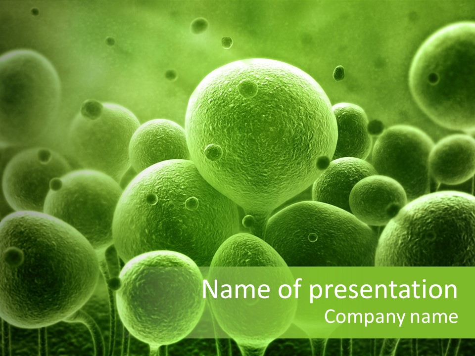 Micro Macro Human PowerPoint Template