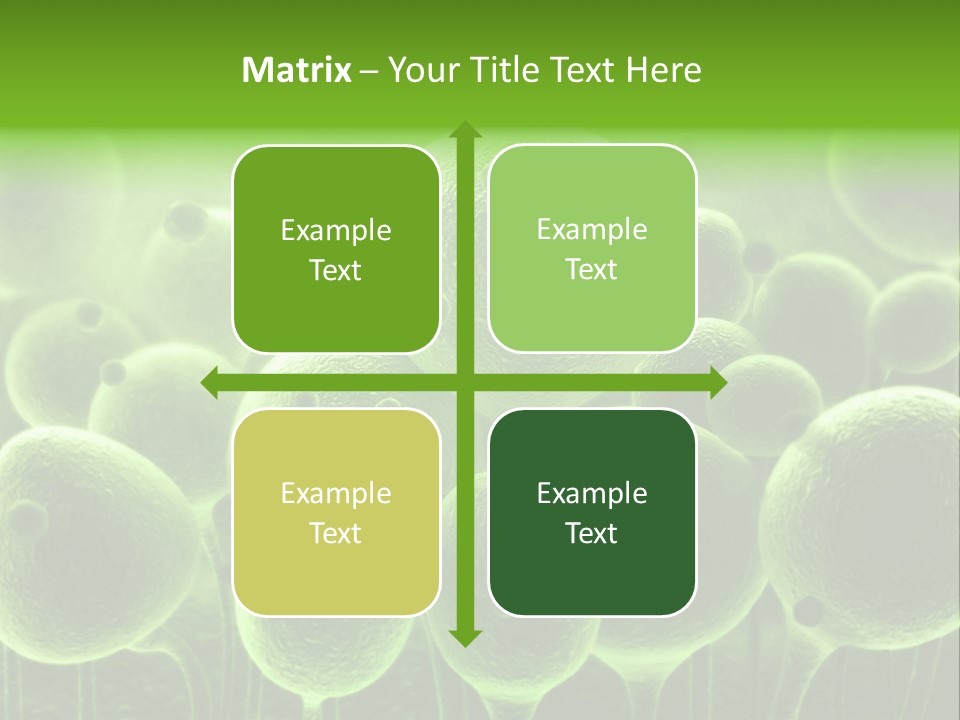Micro Macro Human PowerPoint Template