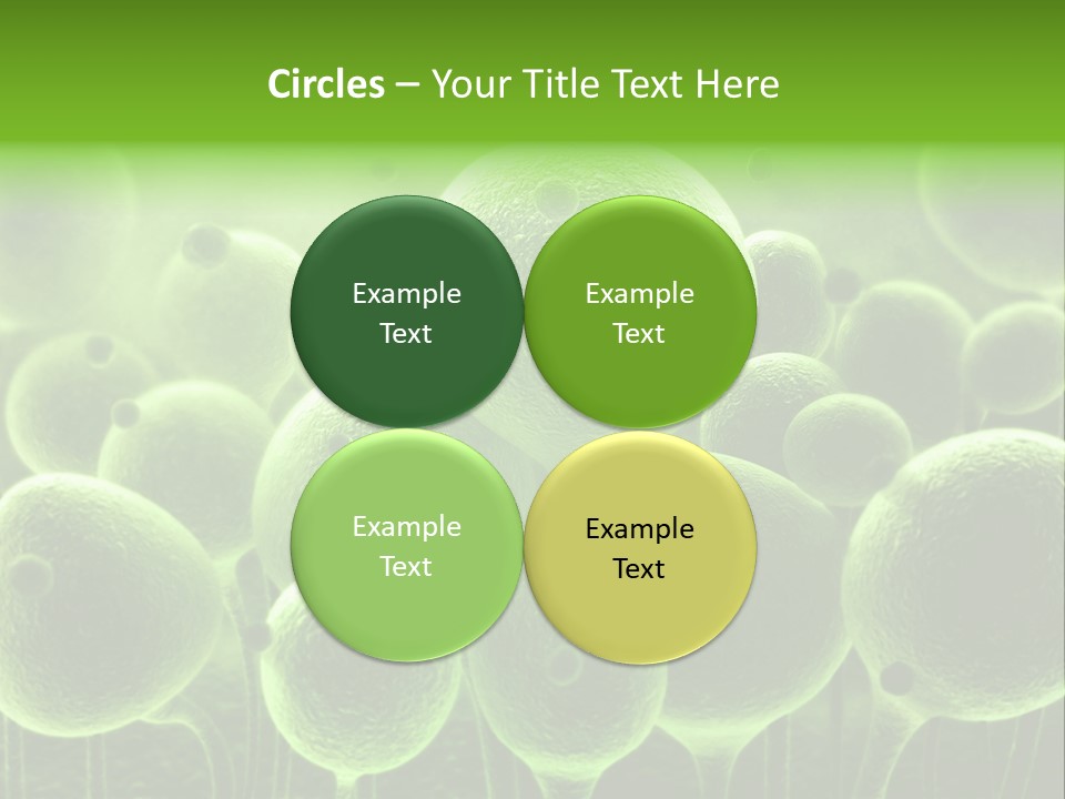 Micro Macro Human PowerPoint Template