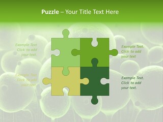 Micro Macro Human PowerPoint Template