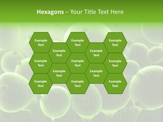 Micro Macro Human PowerPoint Template