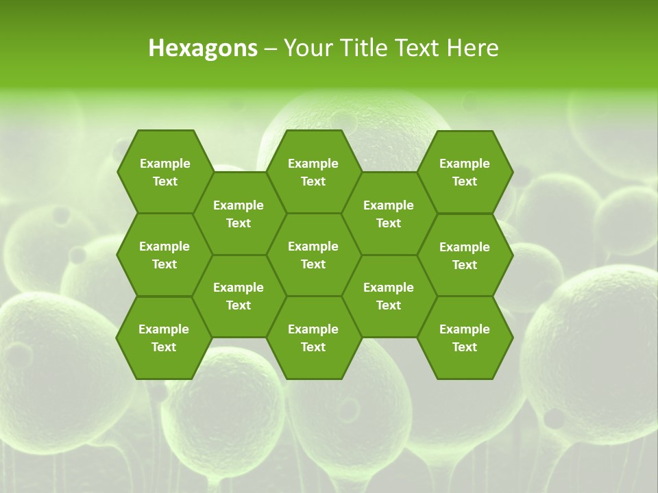 Micro Macro Human PowerPoint Template