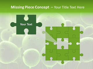 Micro Macro Human PowerPoint Template