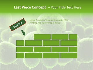Micro Macro Human PowerPoint Template