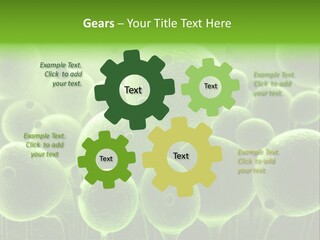 Micro Macro Human PowerPoint Template