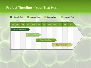 Micro Macro Human PowerPoint Template
