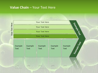 Micro Macro Human PowerPoint Template