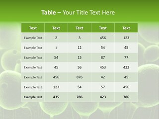 Micro Macro Human PowerPoint Template