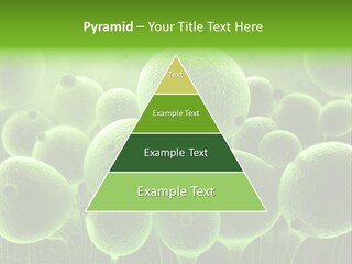 Micro Macro Human PowerPoint Template