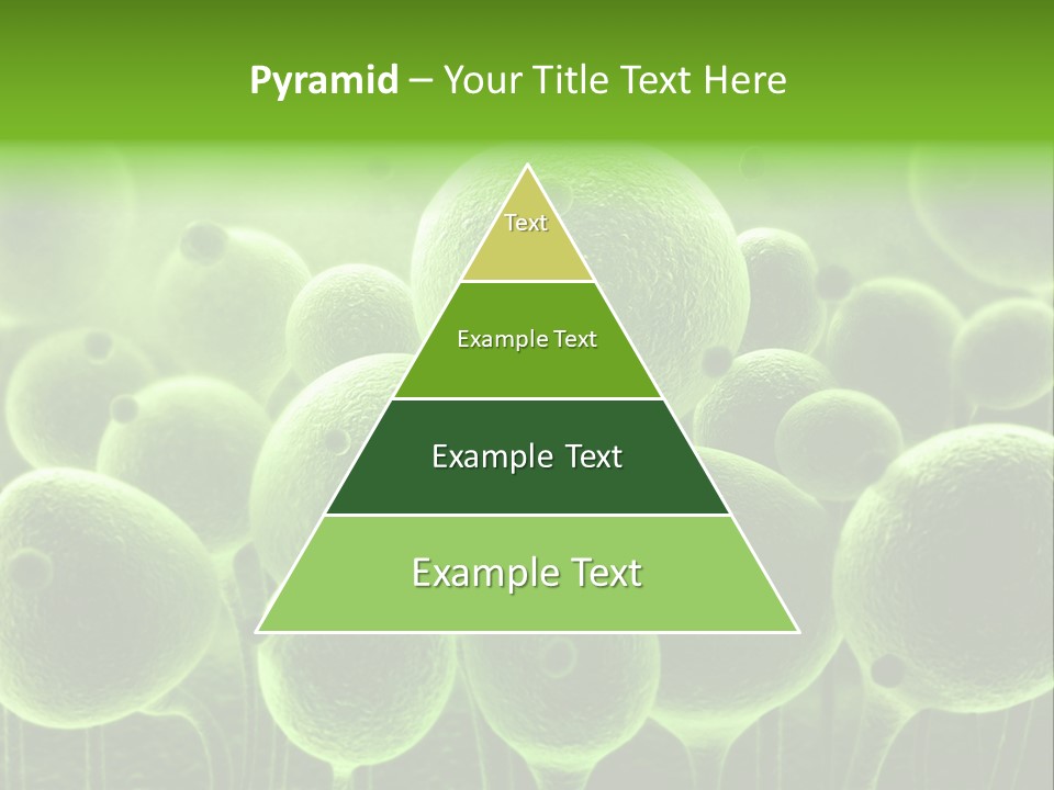 Micro Macro Human PowerPoint Template