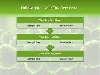Micro Macro Human PowerPoint Template
