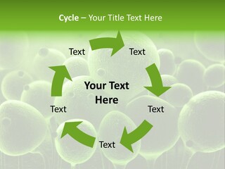 Micro Macro Human PowerPoint Template