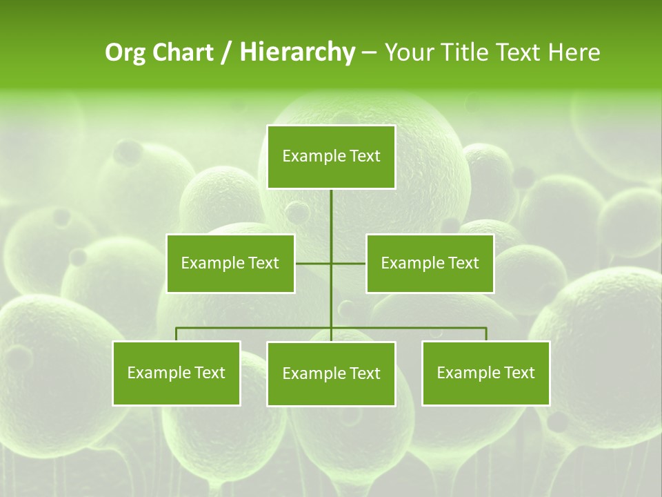 Micro Macro Human PowerPoint Template