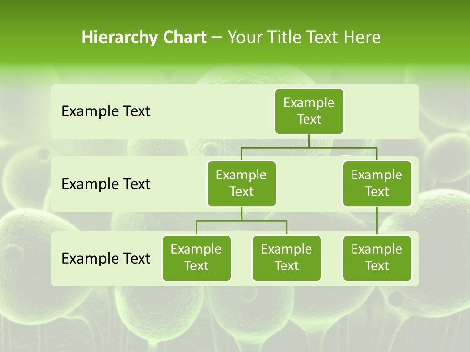 Micro Macro Human PowerPoint Template