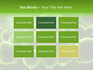 Micro Macro Human PowerPoint Template