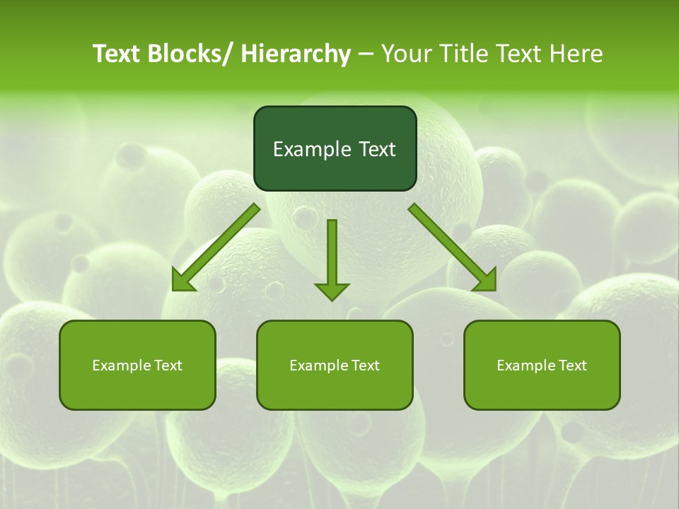 Micro Macro Human PowerPoint Template