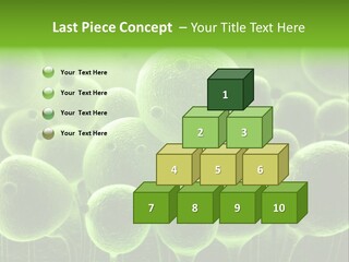 Micro Macro Human PowerPoint Template