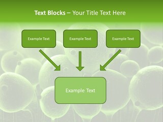 Micro Macro Human PowerPoint Template
