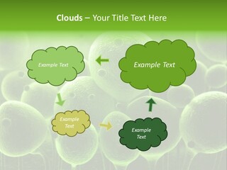 Micro Macro Human PowerPoint Template