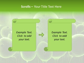 Micro Macro Human PowerPoint Template
