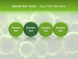 Micro Macro Human PowerPoint Template