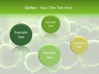Micro Macro Human PowerPoint Template