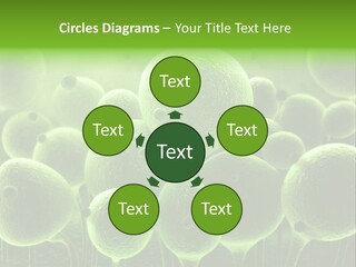 Micro Macro Human PowerPoint Template
