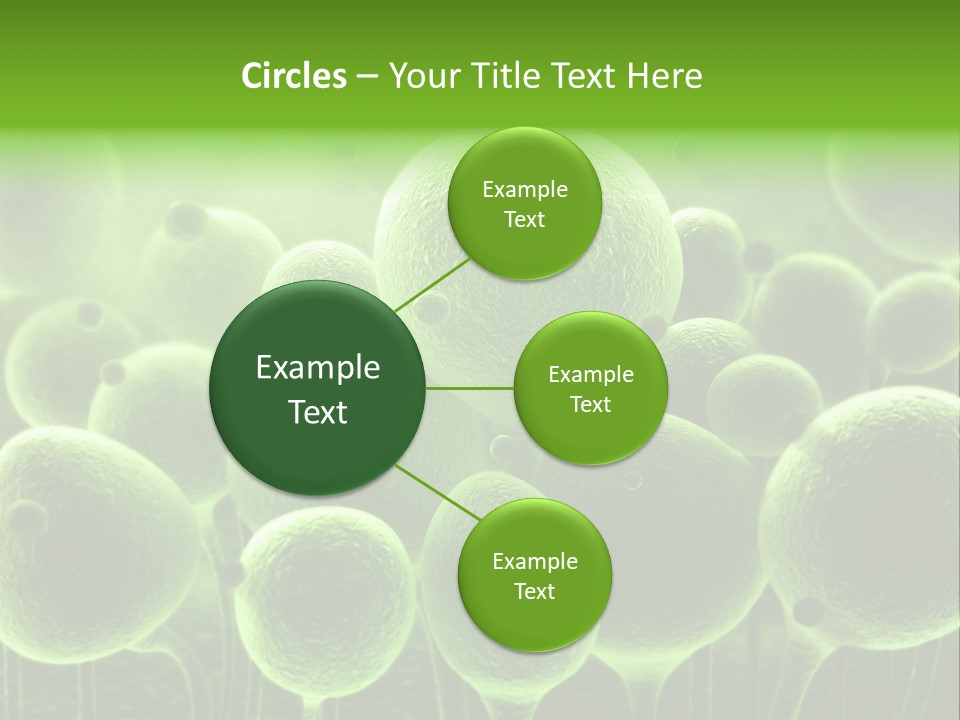 Micro Macro Human PowerPoint Template