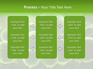 Micro Macro Human PowerPoint Template