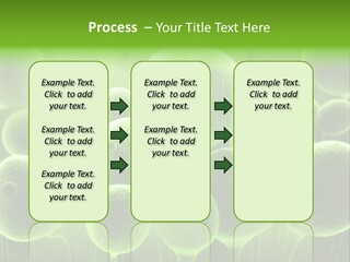 Micro Macro Human PowerPoint Template