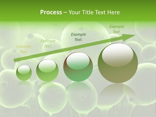 Micro Macro Human PowerPoint Template