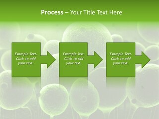 Micro Macro Human PowerPoint Template