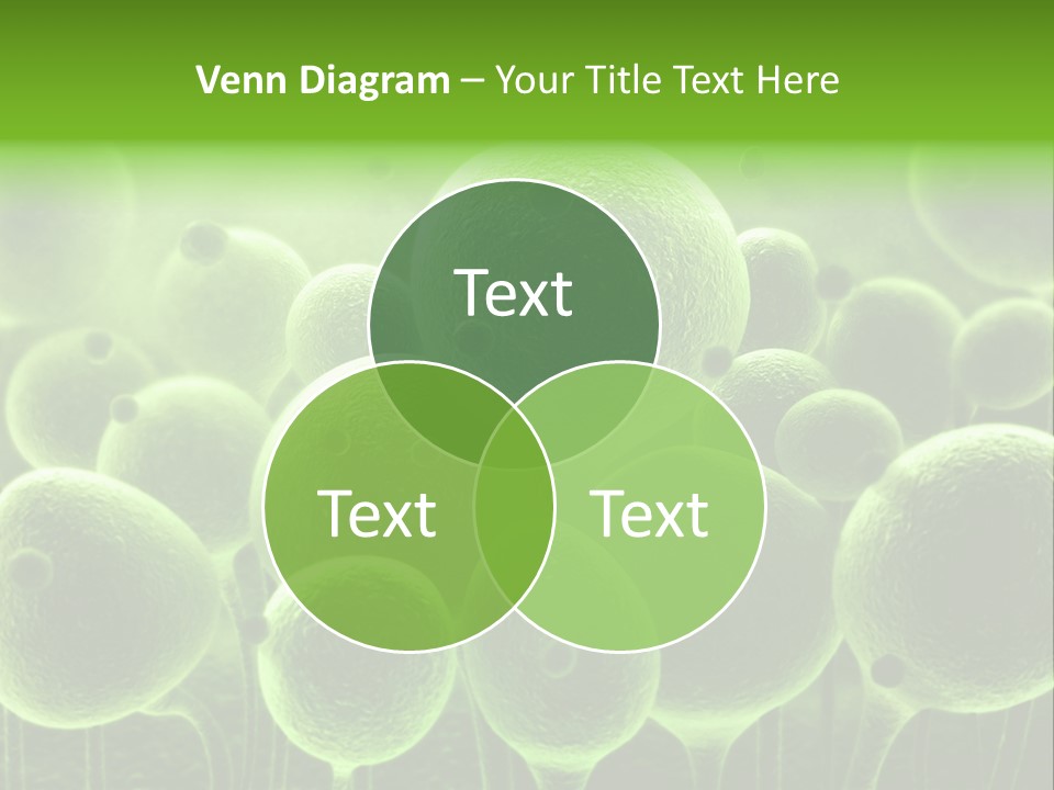 Micro Macro Human PowerPoint Template