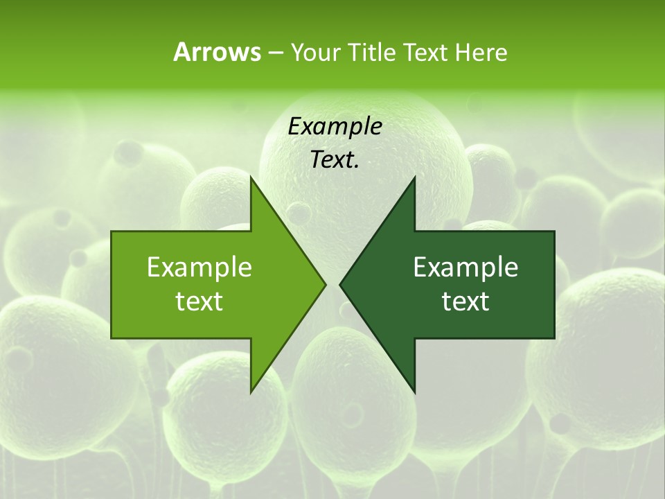 Micro Macro Human PowerPoint Template