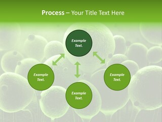 Micro Macro Human PowerPoint Template