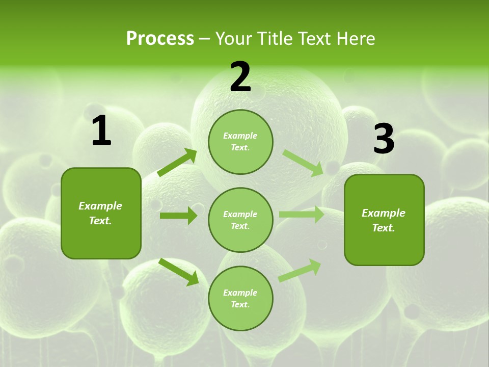 Micro Macro Human PowerPoint Template