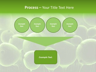 Micro Macro Human PowerPoint Template