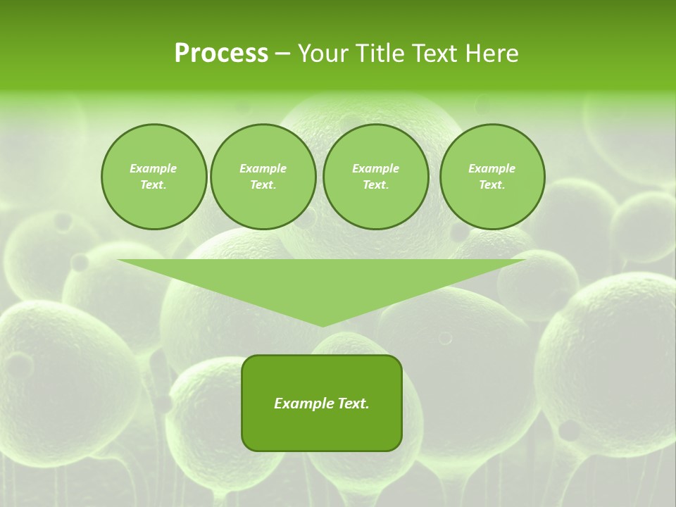 Micro Macro Human PowerPoint Template