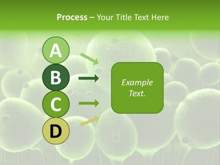 Micro Macro Human PowerPoint Template
