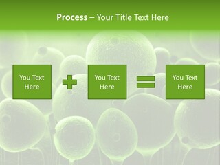 Micro Macro Human PowerPoint Template