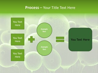 Micro Macro Human PowerPoint Template