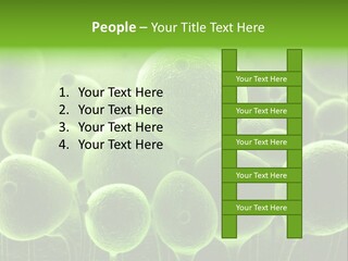 Micro Macro Human PowerPoint Template