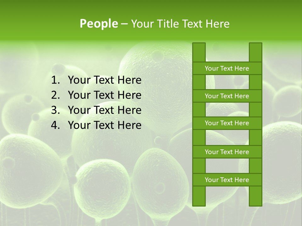 Micro Macro Human PowerPoint Template