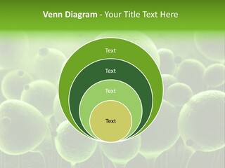 Micro Macro Human PowerPoint Template